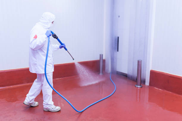 Best Driveway Pressure Washing  in Dunkirk, IN